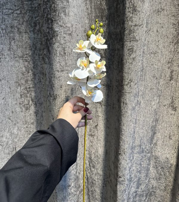 ارکیده لمسی