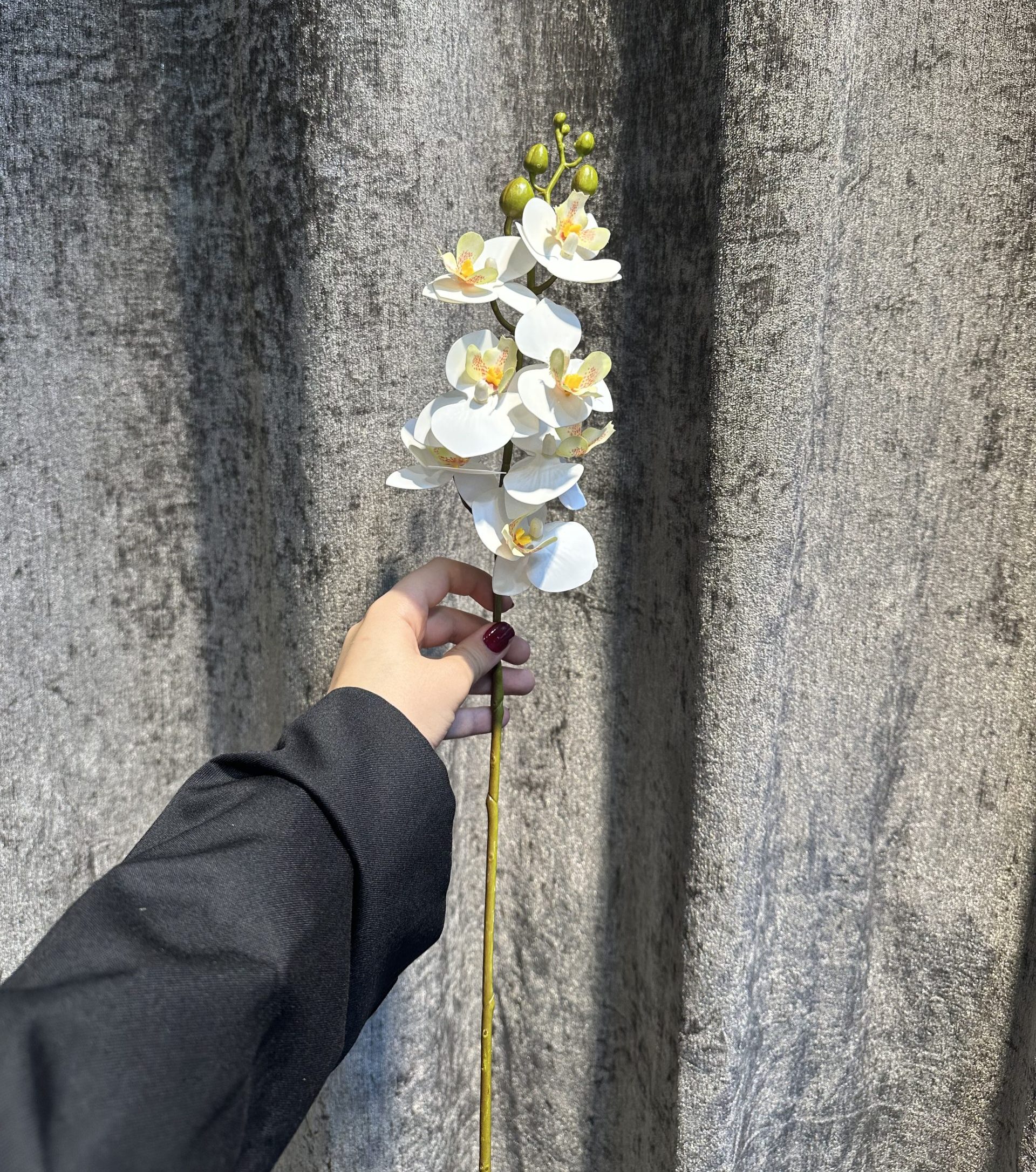 ارکیده لمسی