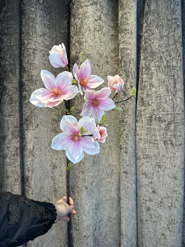 مگنولیا لمسی