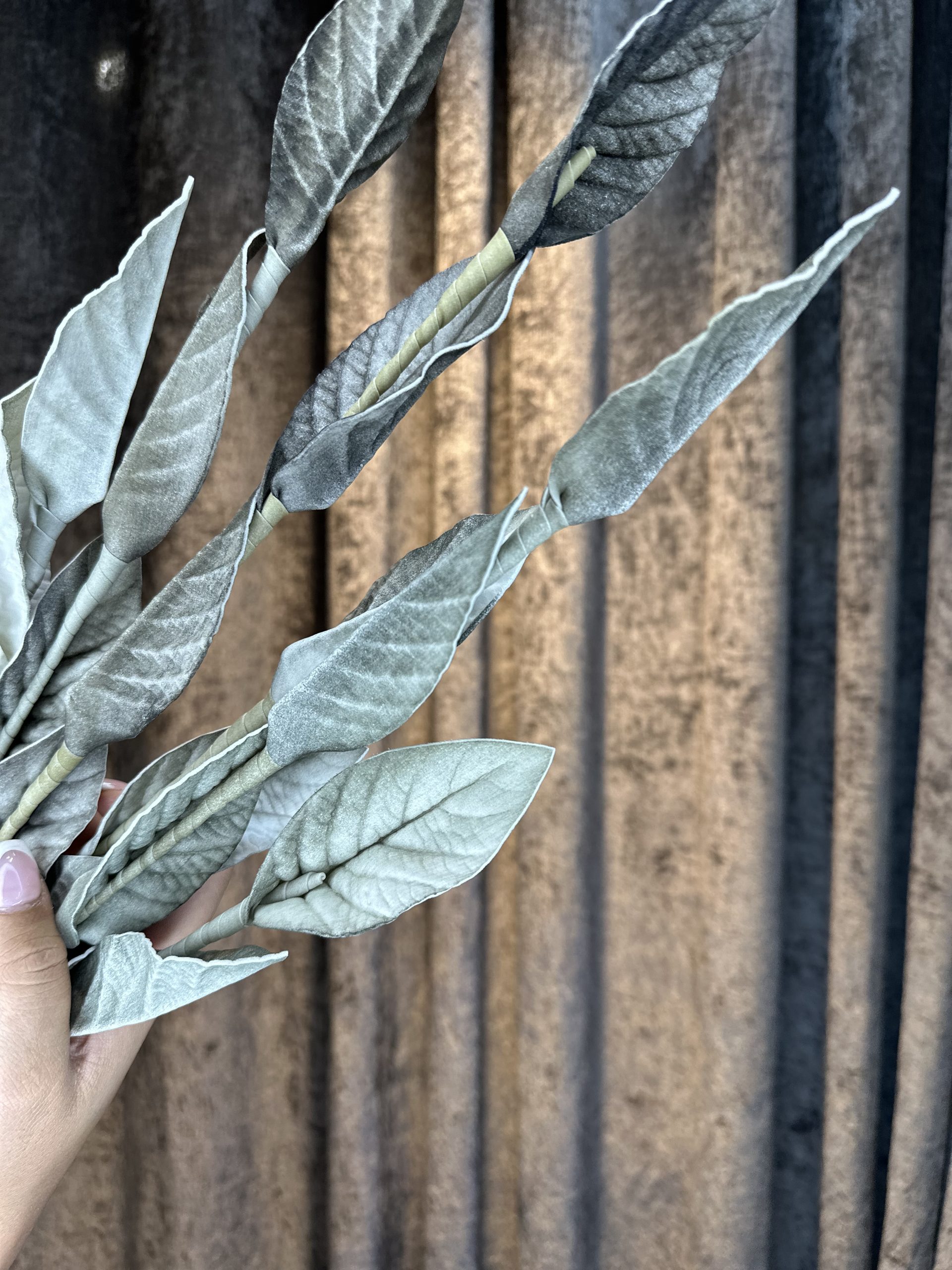 برگ فومی h