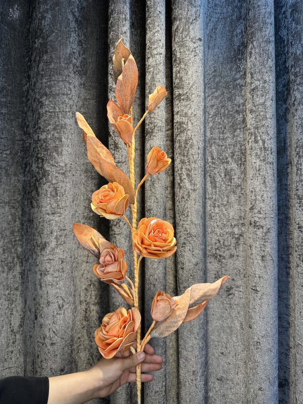 رز فومی - Image 7