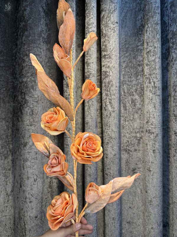 رز فومی - Image 2