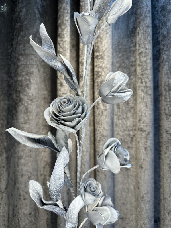 رز فومی - Image 6