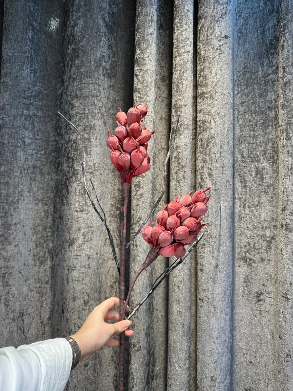خرج کار شاه توتی - Image 7