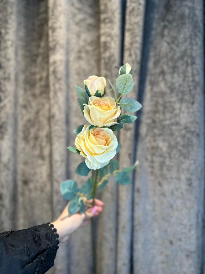 رز پارچه ایی