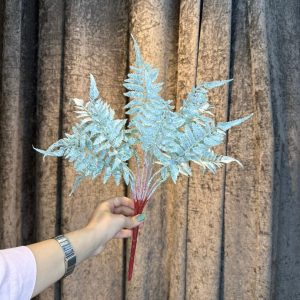 سرخس شمشیری پهن