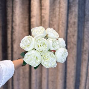 پیونی سفارش فرانسه