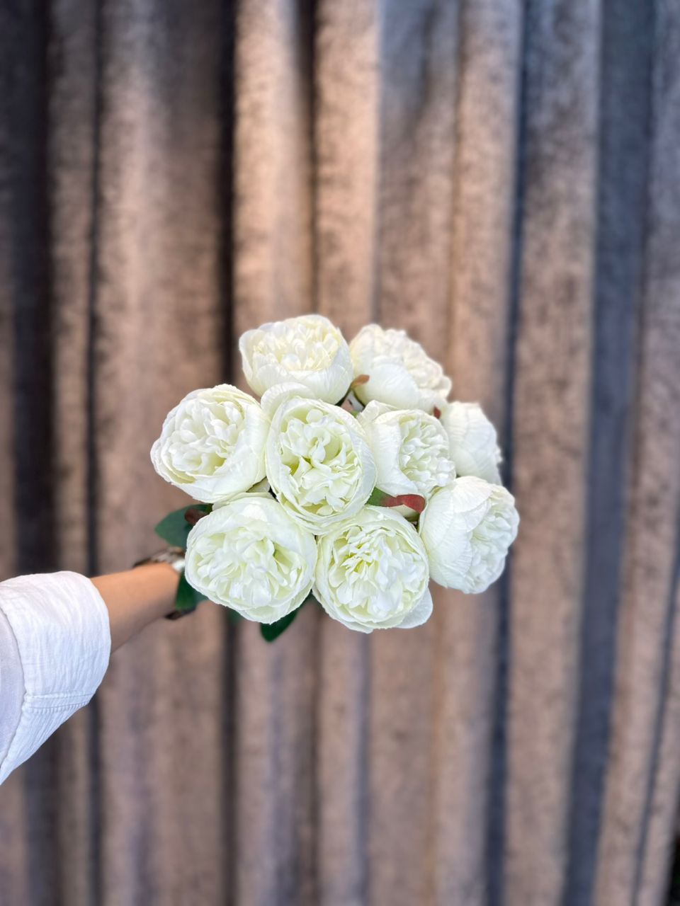 پیونی سفارش فرانسه