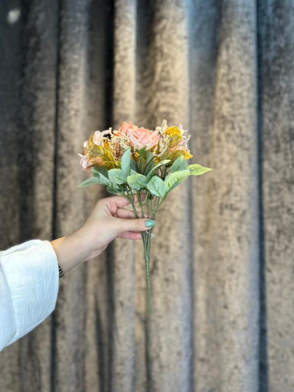 رز متوسط لب برگشته - تصویر 5
