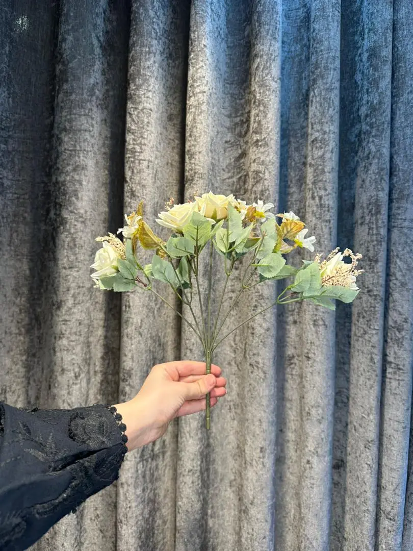 رز متوسط لب برگشته