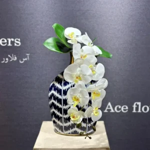 ارکیده لمسی