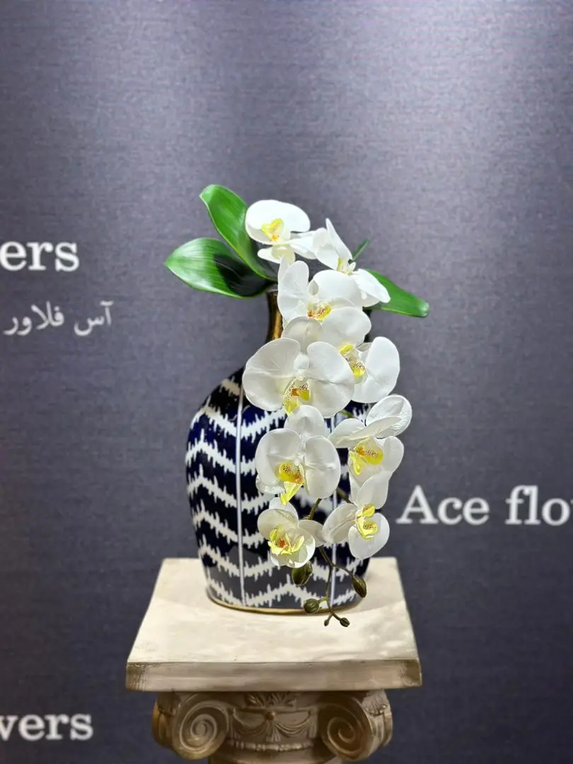 ارکیده لمسی