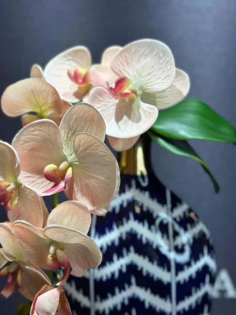 ارکیده پارچه ای