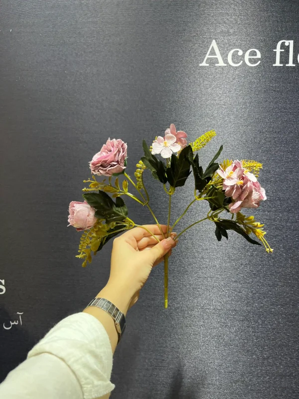رز کوکب دار - Image 2