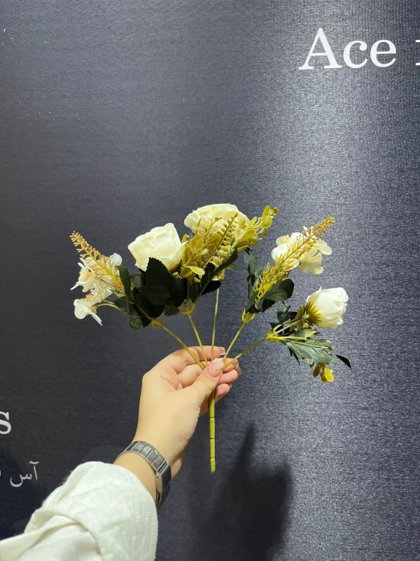 رز کوکب دار - Image 4
