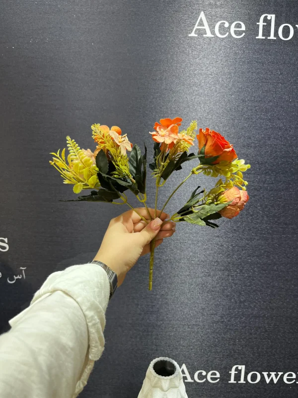 رز کوکب دار - Image 5