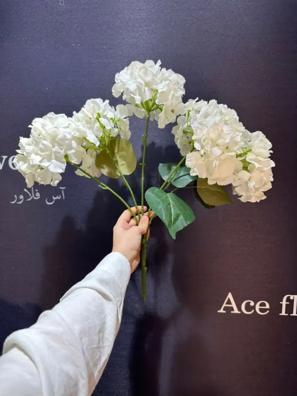 اورتانزیا پارچه ای سفید