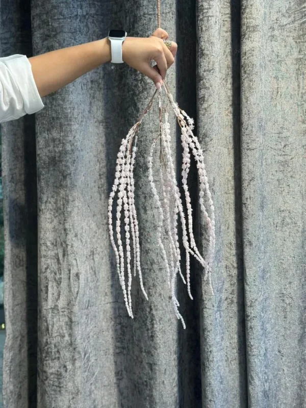 اوارانتوس - Image 7