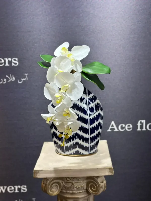 ارکیده لمسی ساقه روشن