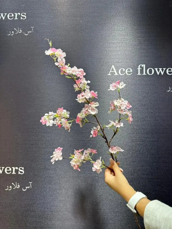 شکوفه