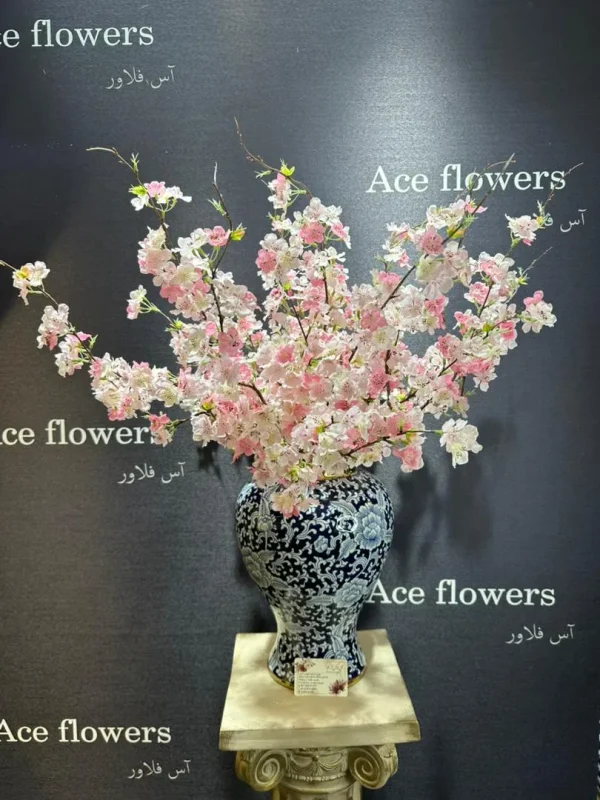 شکوفه سیب