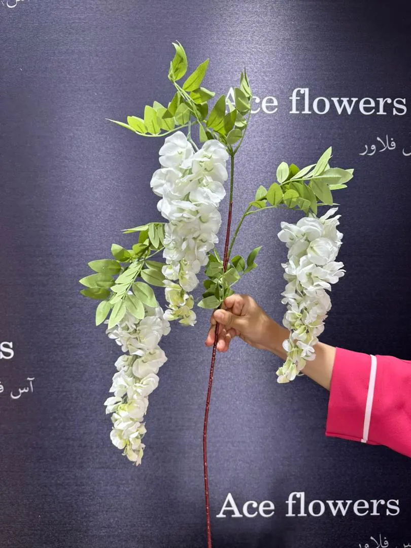 اویز اقاقیا