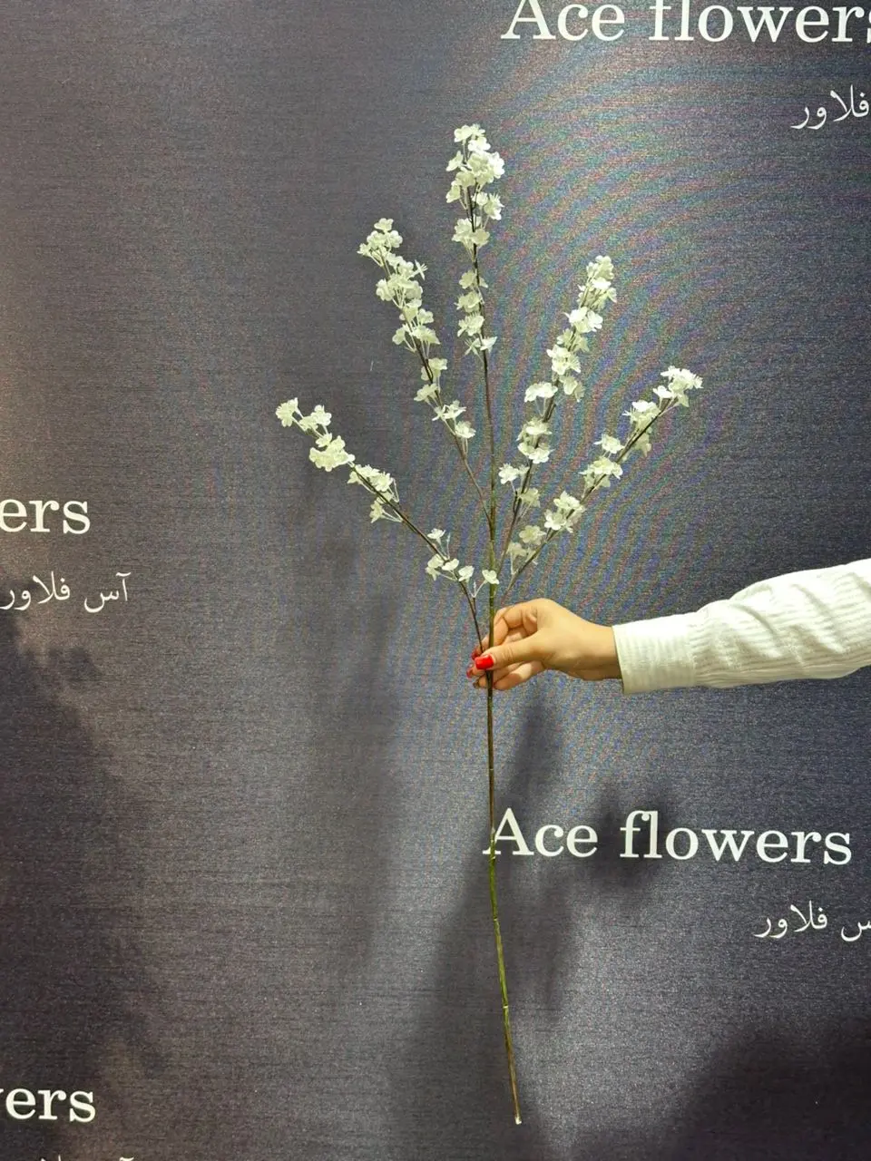 شکوفه