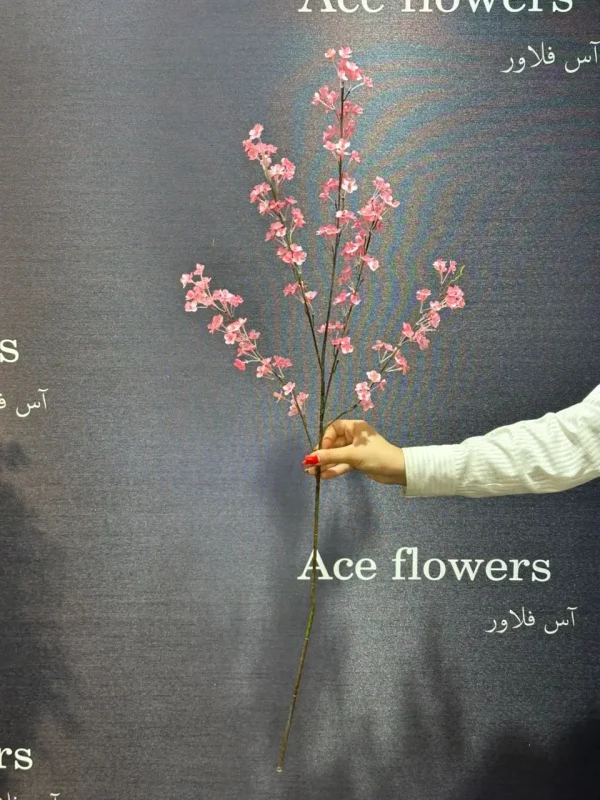 شکوفه