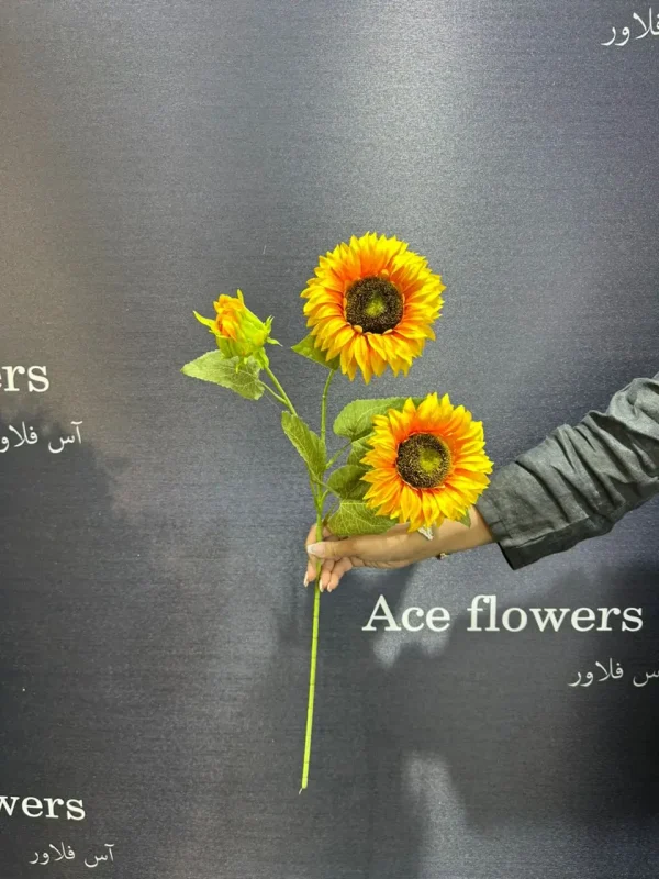 گل افتاب گردان
