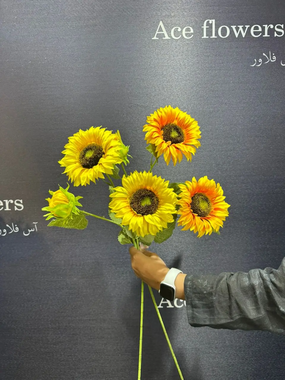 گل افتاب گردون