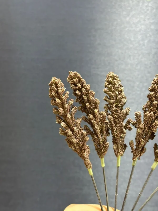 خرج کار سماق کوتاه‌دسته‌ای | آس فلاور - Image 8