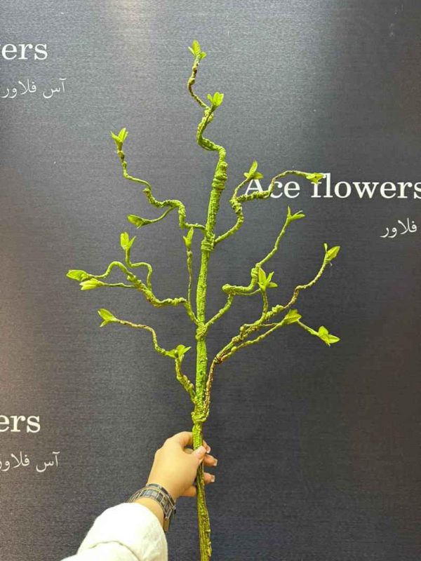 ریشه انعطاف پذیر