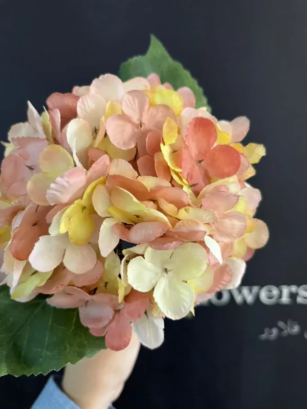 اورتانزیا بوته ایی | آس فلاورز - Image 6