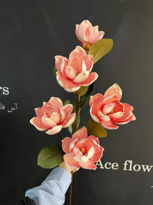 گل فومی مگنولیا |آس فلاورز - Image 5