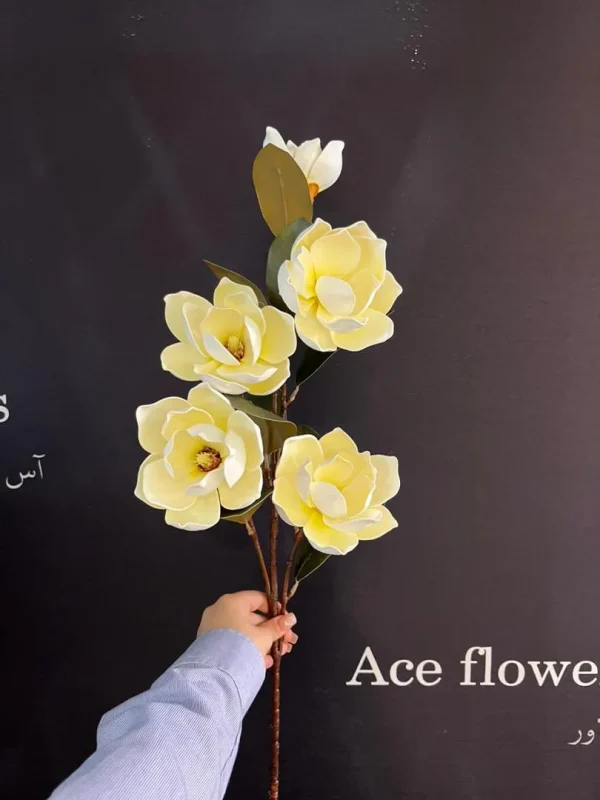 گل فومی مگنولیا |آس فلاورز - Image 2