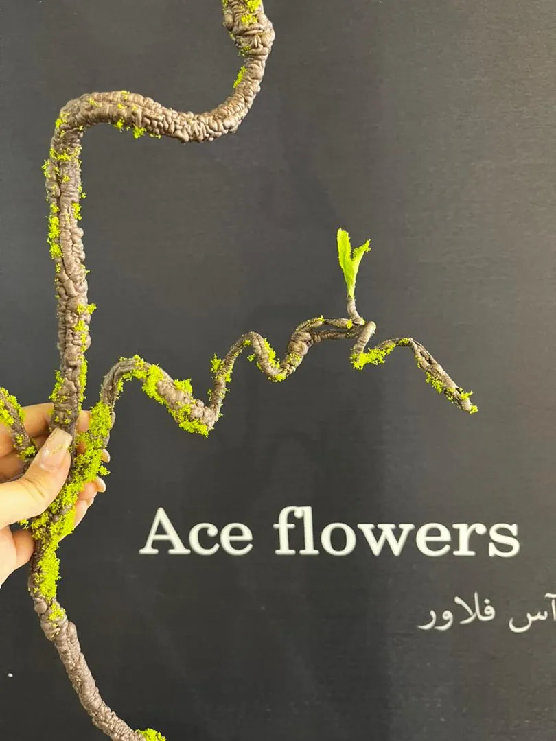 ریشه مصنوعی ۱۴۰ سانتی‌متری در کنار وسایل دکوری
