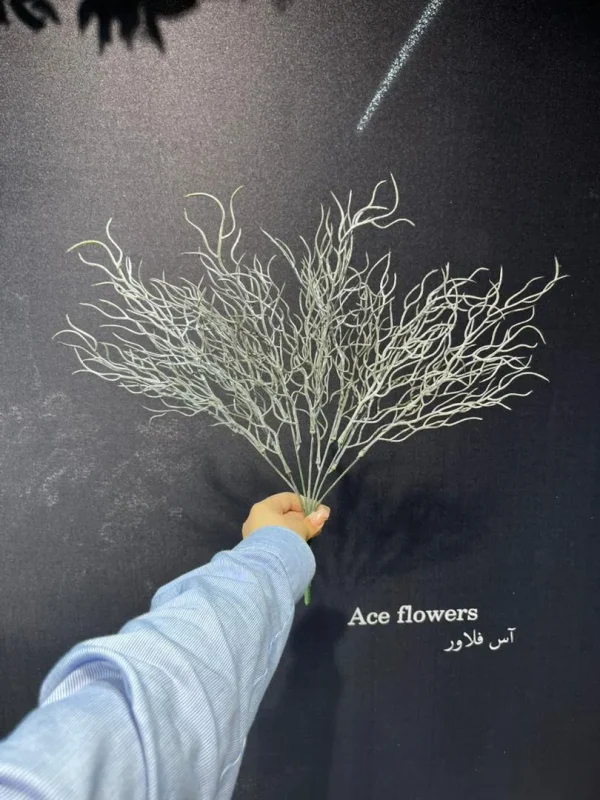 بسته بندی مطمئن بوته مویی کوتاه خاکستری برای ارسال به سراسر کشور