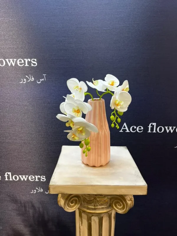 گلدان سرامیکی پاستلی رنگ با ارکیده