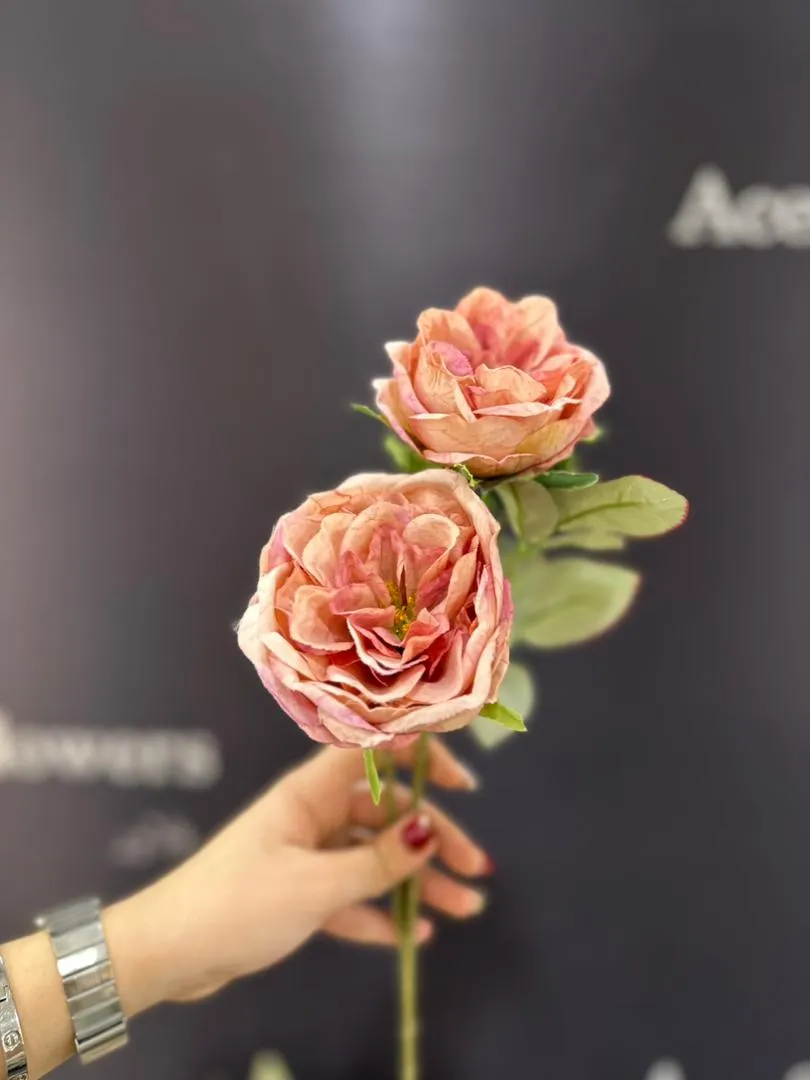 عکس گل شاخه ایی ژولیت