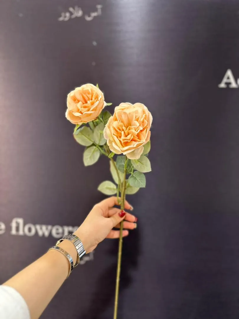 شاخه ژولیت سوخته - Image 3