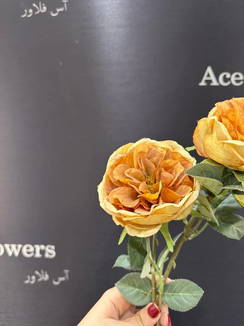 کاربردها (H2): این گل مصنوعی ژولیت، انتخابی ایدهآل برای: دکوراسیون منزل: زیباسازی میز پذیرایی، کنسول، قفسه کتاب و... فضای تجاری: ایجاد یک دکور پاییزی خاص و بهیادماندنی در کافه، رستوران، تالار. هدیه: یک هدیه استثنایی و خوشسلیقه برای عزیزان.