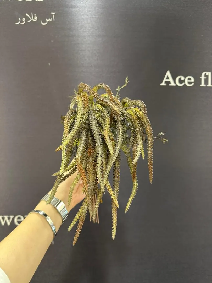 گل مصنوعی لیپودیوم - Image 4