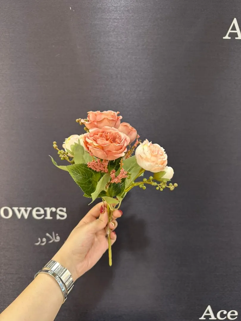 بوته پيونی لاکچری برای دکوراتورها