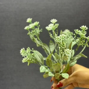 عکس بوته شاخ و برگ دار بذر سفید برای دکوراسیون مدرن