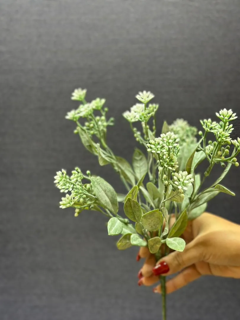 عکس بوته شاخ و برگ دار بذر سفید برای دکوراسیون مدرن