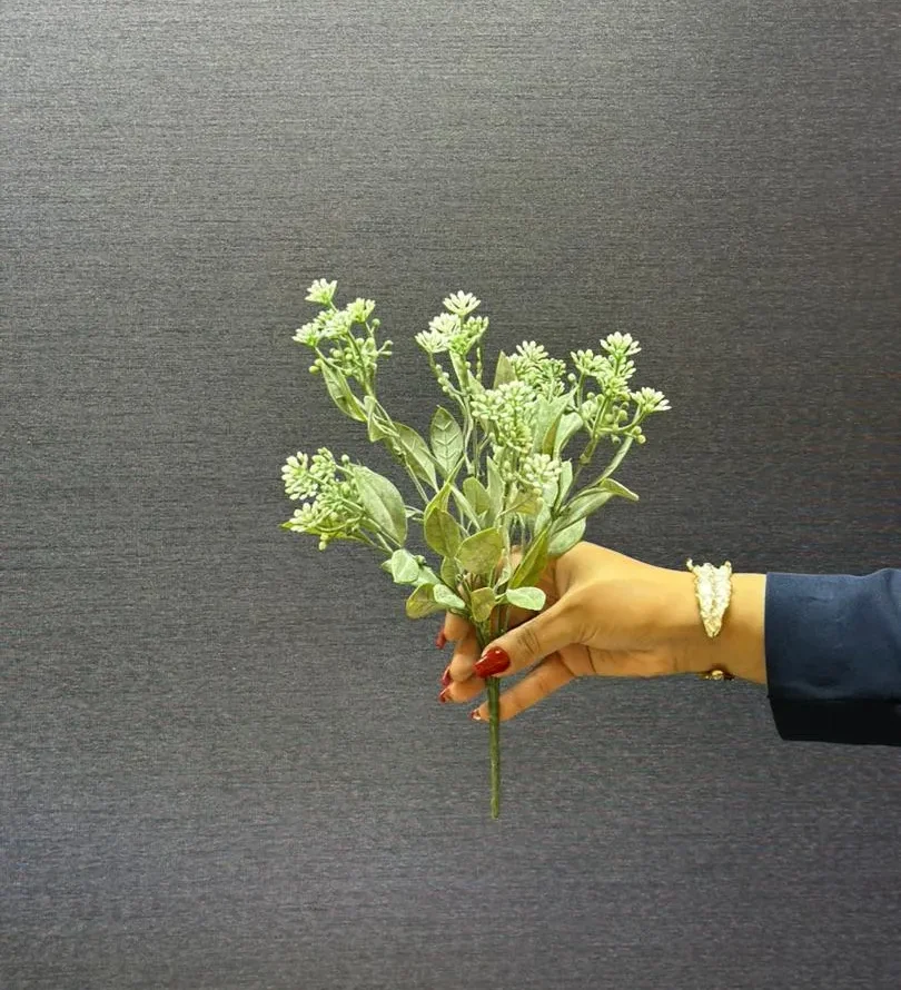 عکس گیاه مصنوعی بذر سفید آس فلاورز