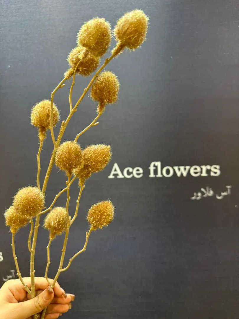 شاخه پشمکی مینیمال زمستانی - Image 2