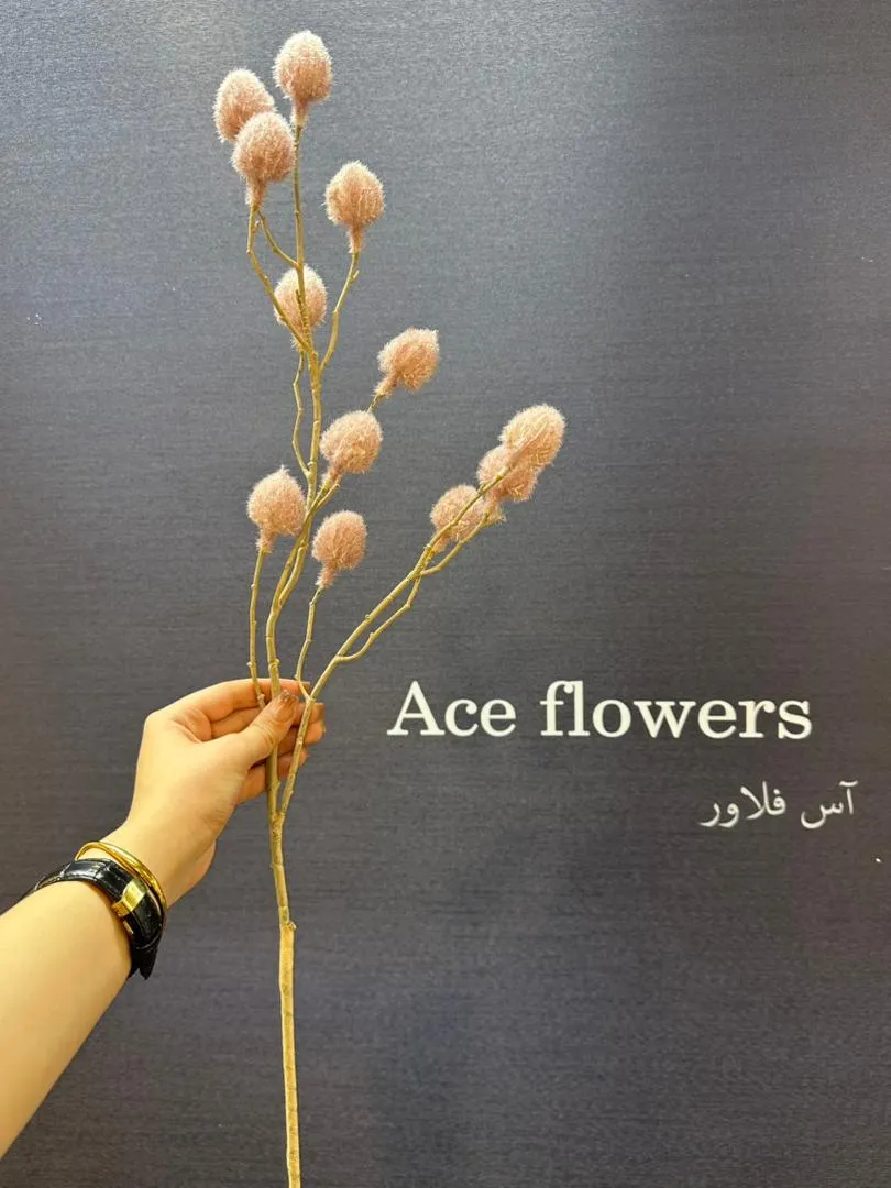 مقایسه سه رنگ شاخه پشمکی مینیمال: سفید، قهوه ای روشن و قهوه ای مایل به قرمز