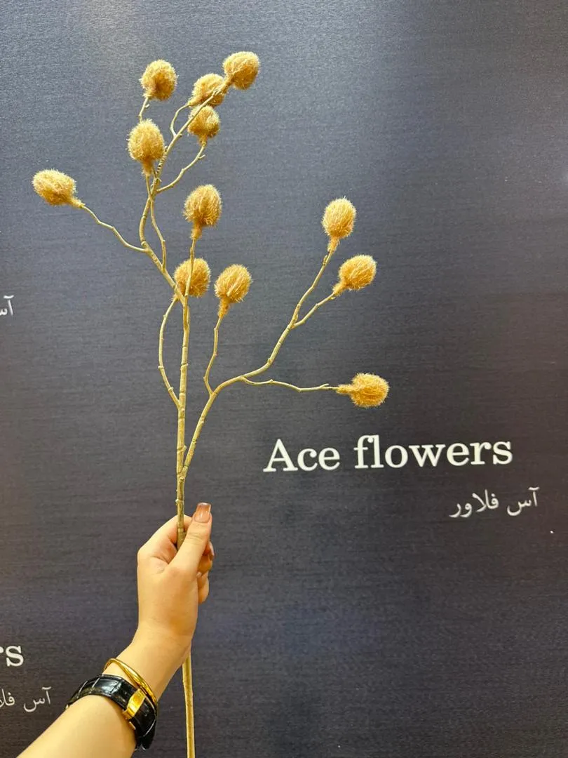 کلوزآپ از گوله های پشمکی نرم و با کیفیت در شاخه دکوراتیو