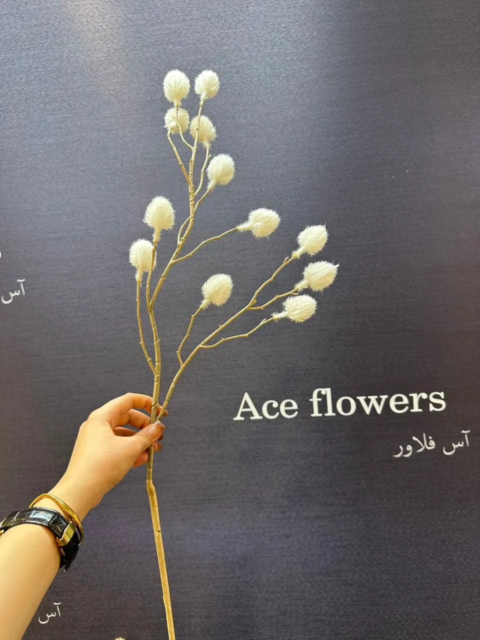 شاخه پشمکی مینیمال زمستانی با دو شاخه و دوازده گوله پشمکی در رنگهای سفید، قهوهای روشن و قهوهای مایل به قرمز